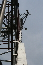 IMG_6795.jpg