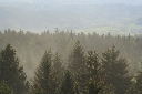 IMG_6804.jpg