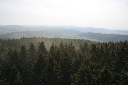 IMG_6805.jpg