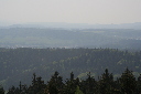 IMG_6808.jpg
