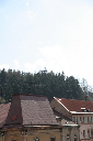 IMG_4301.jpg