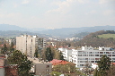 IMG_4303.jpg