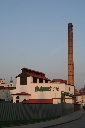 IMG_4320.jpg