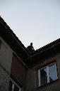 IMG_4321.jpg