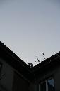 IMG_4327.jpg