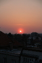 IMG_4337.jpg
