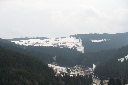 IMG_4165.jpg