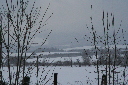 IMG_0430.JPG