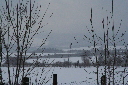 IMG_0431.JPG