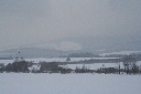 IMG_0442.JPG