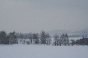 IMG_0446.JPG