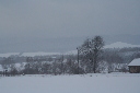 IMG_0460.JPG