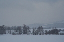 IMG_0465.JPG