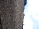 Snmek 022.jpg