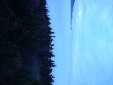 DSCF3337.JPG