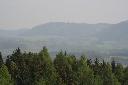 IMG_6818.jpg