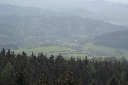 IMG_6820.jpg