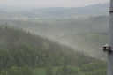 IMG_6845.jpg
