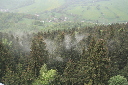 IMG_6847.jpg