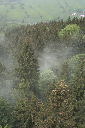 IMG_6848.jpg