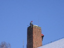 IMG_0117.JPG