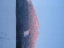 IMG_0642.JPG