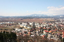IMG_1459.JPG