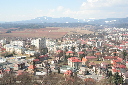 IMG_3061.JPG