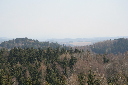 IMG_3071.JPG
