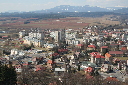 IMG_3075.JPG