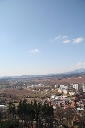IMG_3081.JPG