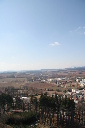 IMG_3084.JPG