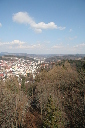 IMG_3085.JPG