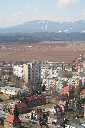 IMG_3092.JPG