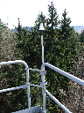 DSC00230.jpg