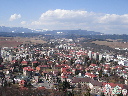 DSC00247.JPG