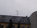 100_2525.jpg