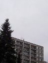 100_2528.jpg