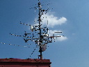 DSCF2561.JPG