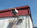 DSCF2575.JPG