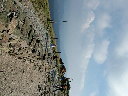 DSCF2635.JPG