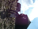 DSCF2644.JPG