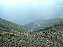 DSCF2662.JPG