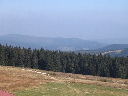 IMG_0479.JPG