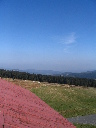 IMG_0480.JPG