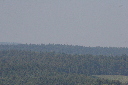 IMG_1087.JPG