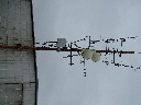 DSCF3498.JPG