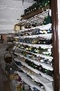 CRW_5364.jpg