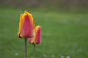 CRW_4947.jpg