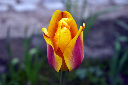 CRW_4953.jpg